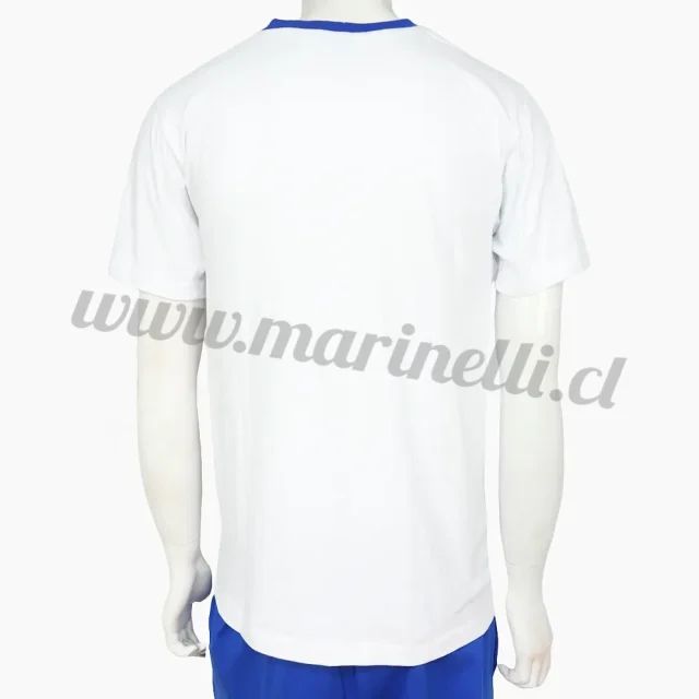 Polera Algodón Academia Tarapacá