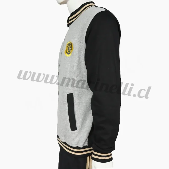 Polerón Colegio Bulnes